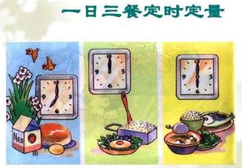 腸功能紊亂應注意事項