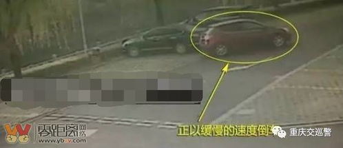 指揮的注意事項,合唱指揮注意事項,塔吊指揮注意事項