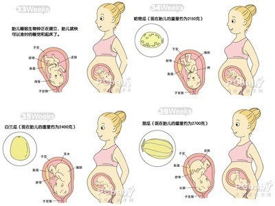懷孕8個(gè)半月注意事項
