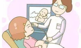 孕期,注意事項