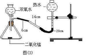 使用實(shí)驗法的注意事項,心理學(xué)實(shí)驗法的注意事項,運用實(shí)驗法研究幼兒心理的注意事項