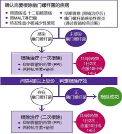 幽門螺桿菌怎么治療和注意事項