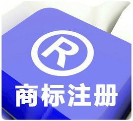 商標查詢(xún)注意事項