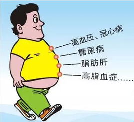 糖尿病預防和注意事項,糖尿病注意事項和保養,糖尿病用藥指導和注意事項