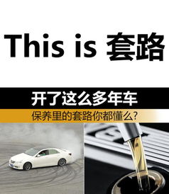 期內,保修,注意事項,維修