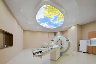 需注意,事項,petct