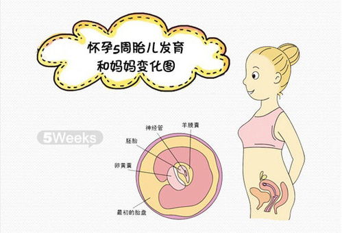 懷孕第9周應(yīng)注意事項
