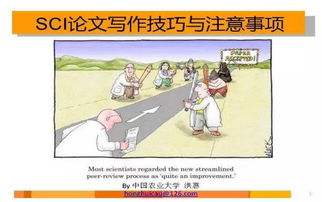 野餐,英語(yǔ),來(lái)寫(xiě),注意事項