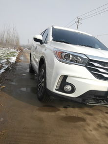 新車(chē),注意事項,GS4