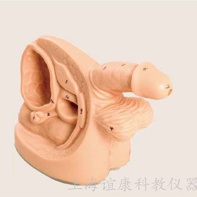 老年人導尿的注意事項,簡(jiǎn)述老年人導尿的注意事項,留置導尿的注意事項
