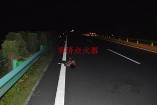 新手晚上跑高速注意事項,晚上跑高速注意事項開(kāi)不開(kāi)遠光燈,晚上下雨跑高速注意事項