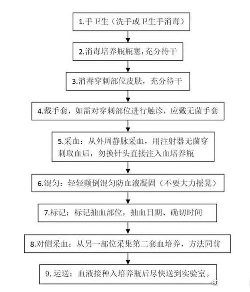 靜脈血標本采集的注意事項,血標本的采集的順序及注意事項,血標本采集的方法及注意事項