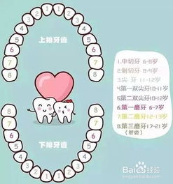 幼兒換牙期注意事項