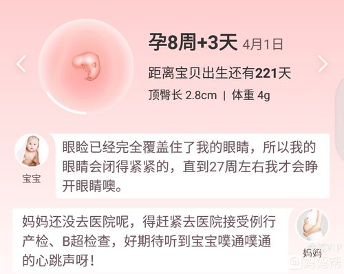 注意事項,周三