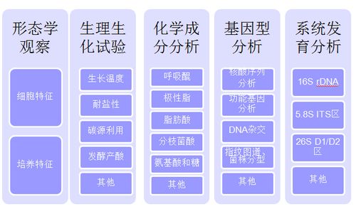 接種,微生物,注意事項
