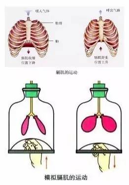 自然吸氣注意事項