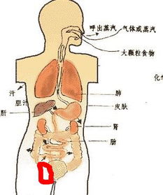 肺部有大泡應該注意什么,小氣泡注意事項,小氣泡做完后注意事項