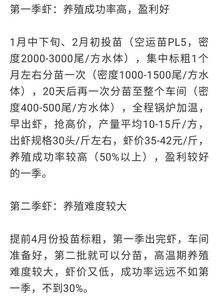 燒元寶的注意事項,燒小人注意事項,燒符咒注意事項