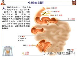 腸穿孔術(shù)后注意事項