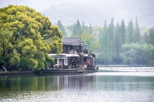 水邊,注意事項