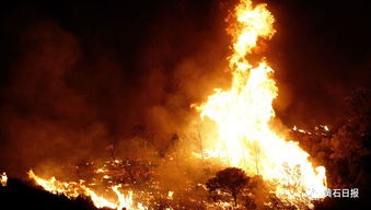 撲山火注意事項