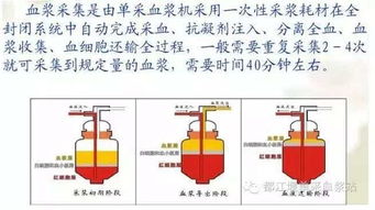 獻血漿前后的注意事項