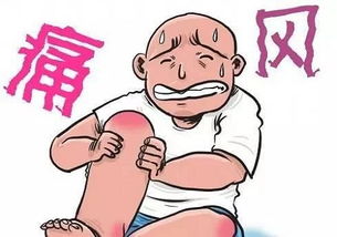 痛風(fēng)的注意事項,痛風(fēng)要注意事項,痛風(fēng)的注意事項及飲食
