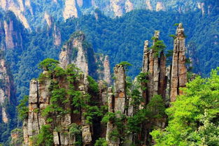 春節(jié)漠河旅游注意事項,黃山春節(jié)旅游注意事項,春節(jié),武漢游客湖南旅游注意事項