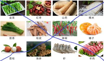 濕熱,體質,注意事項,飲食