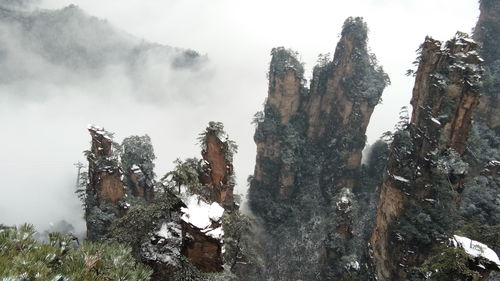 張家界,注意事項,春節(jié),旅游