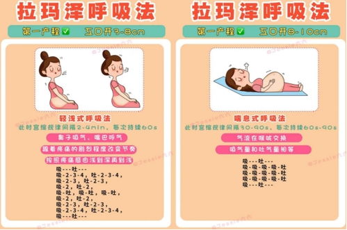 懷孕每個(gè)階段注意事項,懷孕各階段注意事項,懷孕不同階段注意事項