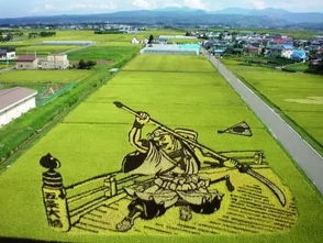 安全衛生,注意事項,基地,農業(yè)