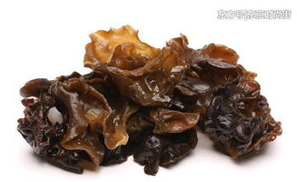食用木耳的注意事項,木耳的吃法注意事項,泡木耳注意事項