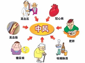 輕度中風(fēng)的注意事項