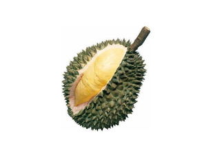 榴蓮的注意事項,吃榴蓮的注意事項,榴蓮運(yùn)輸注意事項
