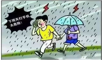暴雨,出行,注意事項