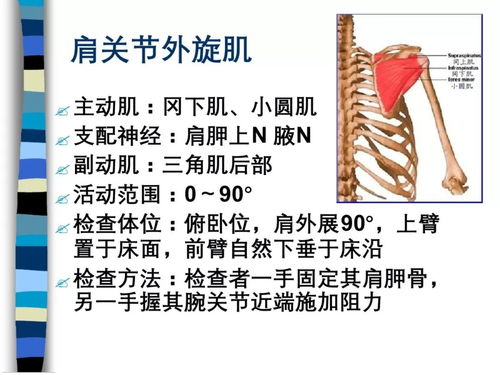 外科手術(shù)器械注意事項,器械護士的注意事項,外來(lái)器械處理的注意事項