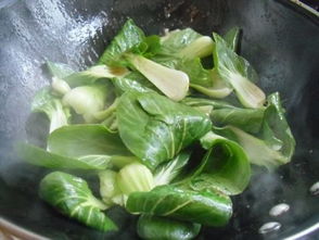 青菜,注意事項
