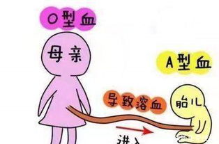 新生兒和媽媽血型不合要注意事項
