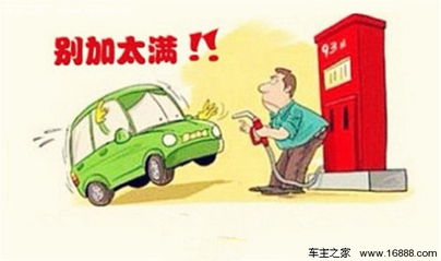 夏季,注意事項