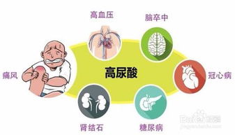 注意事項,飲食,高脂血癥