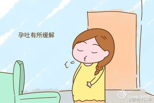 試管懷孕停藥后注意事項,胎停過(guò)一次下次懷孕注意事項,懷孕在家養胎注意事項