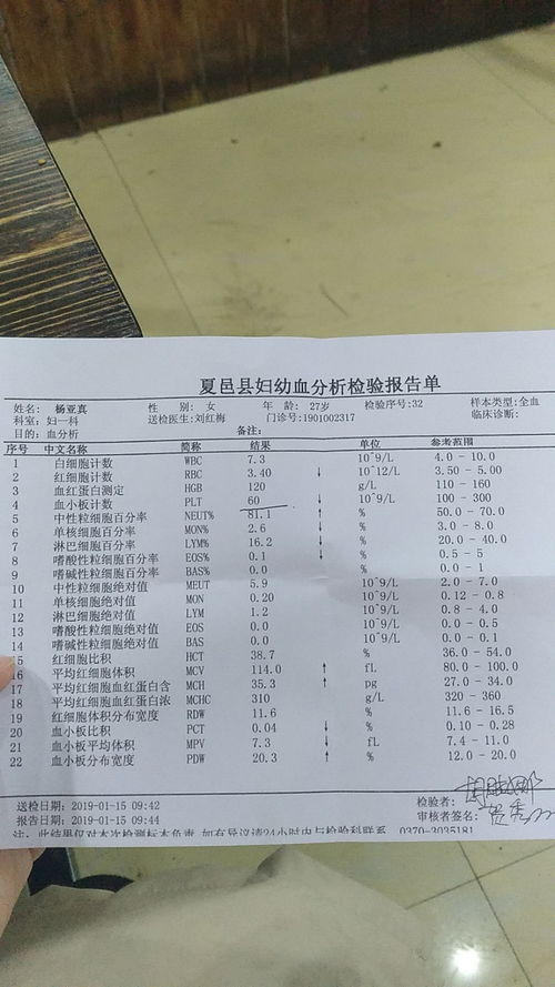 血小板低護(hù)理注意事項(xiàng),血小板低需要注意事項(xiàng),血小板低指導(dǎo)注意事項(xiàng)
