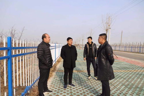建冬棗大棚注意事項