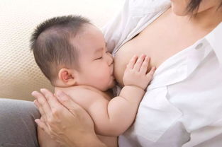 月子里停奶要注意事項