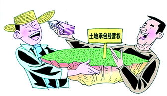 承包農村土地合同注意事項,承包農民土地注意事項,農村土地互換注意事項