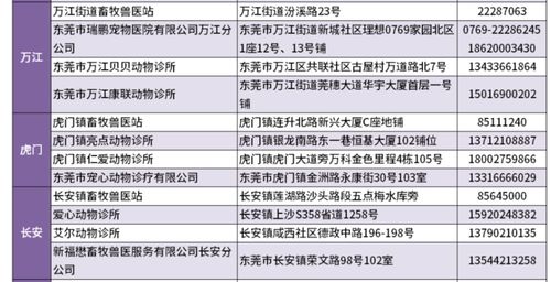 犬貓免疫注意事項