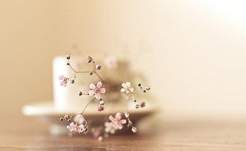 手術(shù)臺上，老公放棄了我
