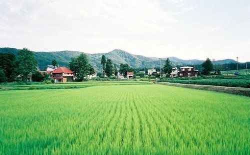 很簡(jiǎn)單的一個(gè)故事，看完你會(huì )懂愛(ài)的真諦！
