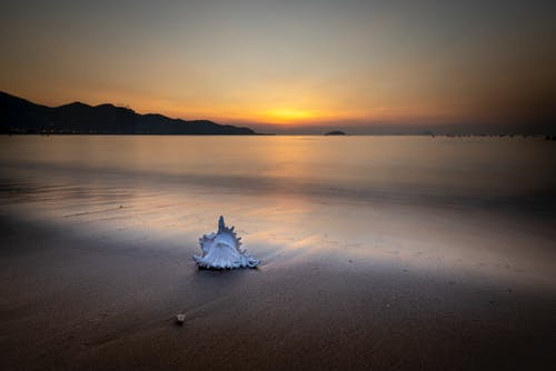 人教版五年級上冊八單元作文我愛(ài)看的革命影視作品《紅巖》